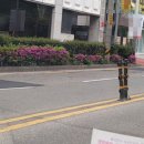 동김해재활용 이미지