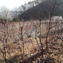 충주 행복한 농장 이미지