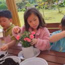 용성초등학교병설유치원 이미지