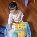 [멘사창의보드게임] 44개월 딸의 얼음꽁꽁북극곰 놀이