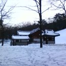 신덕4호 이미지