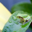 대지-2010 이미지