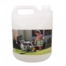 체리쉬퍼피 이미지