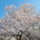 CU(안양예술공원점) 이미지