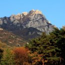 메트로치과의원 이미지