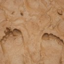 미추홀공원 이미지