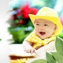 숲속아이호호
