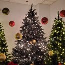 국가대표 알파태권도장 이미지