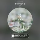 20170423/04:00AM/멜론/청하주의보 이미지