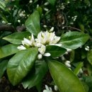 이혁농장 이미지