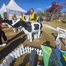 동선축산 이미지