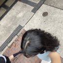 5060 여행영어 | 나고야근교당일치기 | 다카야마 &amp; 시라카와고 버스투어 ft,내돈내산