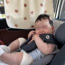 예나어린이집 | 39도 열은 처음입니다..7개월 아기일상 D+211-224