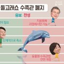 대선농장 한국일보