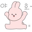 모두의에이펙스