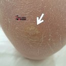 레푸스 평택점 이미지