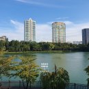 테라스커피 이미지