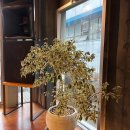 제임스짐JS 이미지