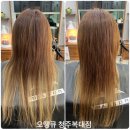 오땡큐천연염색헤어샵 | 청주 내덕동 모발클리닉 헤어샵 오땡큐 복대점