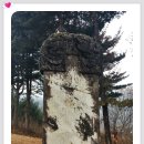 김감 Daum카페
