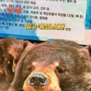 국립관세박물관 이미지