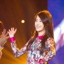 하이미스터 이미지