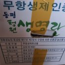 동평양계장 네이버블로그