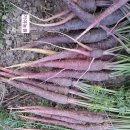 가야농원 이미지