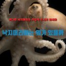 삼풍수산