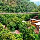 금산산림문화타운 이미지