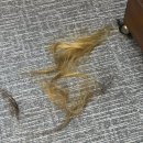 을지아파트 상가 | 산본헤어샵 유미헤어 만족 커트 후기