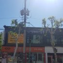 나연헤어 이미지