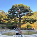 내 집의 분경 | 가을 단풍 명소 화담숲 방문후기 예약 및 모노레일