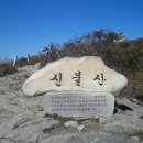 양산신-2015 Daum카페