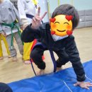 세빛태권도장 이미지