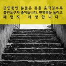 &#39;계단 오르기&#39; 의 놀라운 운동효과 이미지