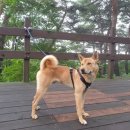 한남동주민센터 이미지