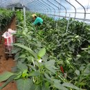 한마음농장 2 이미지