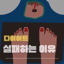 뉴트리션앤피트니스 | 제주도헬스장 뉴트리션앤피트니스 가격 위치 후기