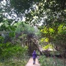 의귀환승정류장 이미지