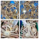 농수산물도매시장(수협공판장) 이미지