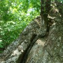 회센타 삼거리슈퍼 이미지