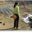 재상농장 이미지