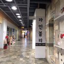 라인블리 네이버블로그
