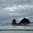 평생 사랑해 줄 개 애견펜션1 이미지