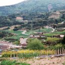 함구미민박 이미지