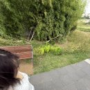 반밖에안남았네… 반이나남았네!
