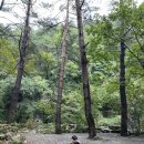 산여울캠핑장 | 강원도 영월, 계곡 캠핑장::영월 산여울 캠핑장