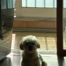 국수나무호성점 | meenoi - busy guy .. .. ♪