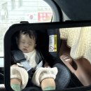 삼원로3길 | 고양 삼송 서다픽 스튜디오 돌 사진 예약 방법, 촬영 후기